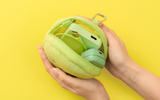 SMISKI Cushion Pouch I4