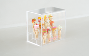 Acrylic Display Case T9