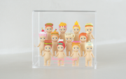 Acrylic Display Case T9