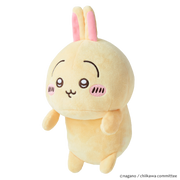 Posture Pal - CHiiKAWA P0