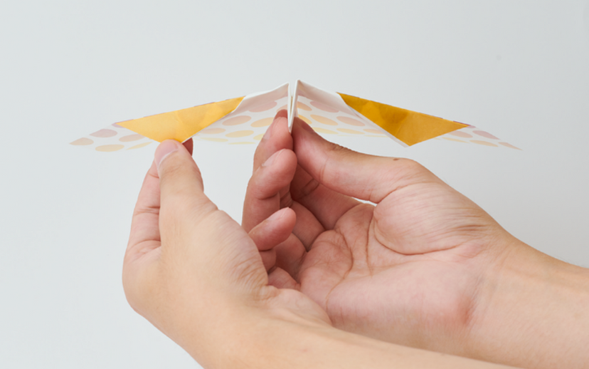 Papillon Origami Airplanes Q2