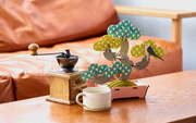 Play Plants Bonsai Puzzles H9