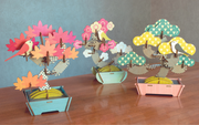 Play Plants Bonsai Puzzles H9