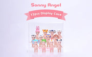 Acrylic Display Case T9