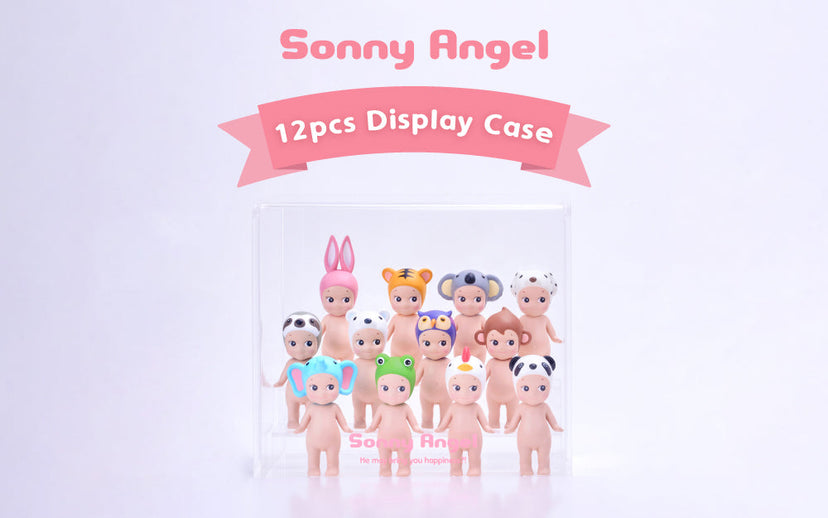 Acrylic Display Case T9