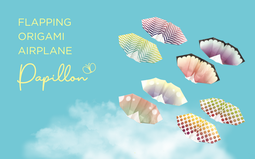 Papillon Origami Airplanes Q2