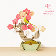 Play Plants Bonsai Puzzles H9